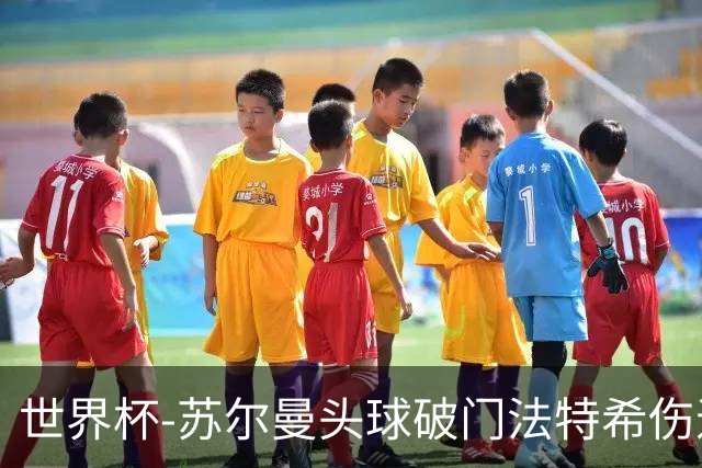 世界杯-苏尔曼头球破门法特希伤退 半场新西兰1-0埃及