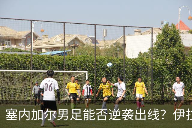 塞内加尔男足能否逆袭出线？伊拉克队同样有机会！