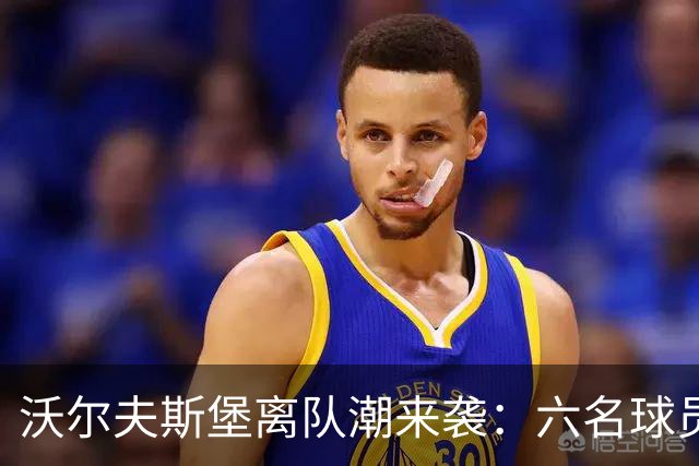 沃尔夫斯堡离队潮来袭：六名球员确认离队，未来何去何从？