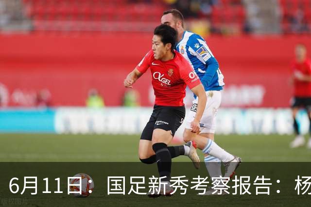6月11日：国足新秀考察报告：杨希亮眼三人免检李昊毛伟杰稳固两人边缘化